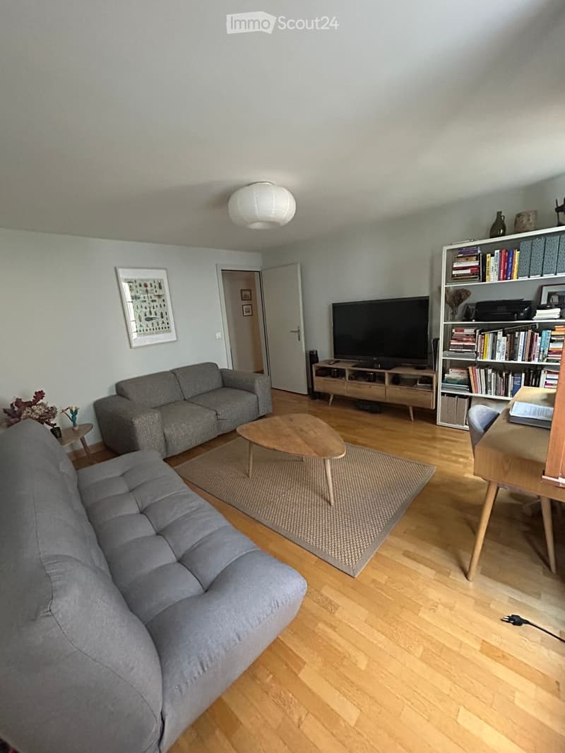 For rent 4 rooms in Saint-Gervais, Geneva (3)