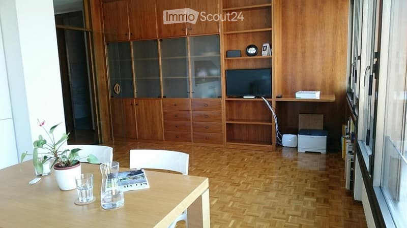 Lugano, affitto bilocale, vicinanza USI (4)