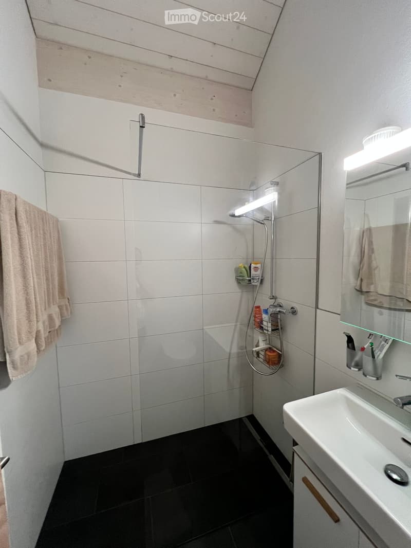 Appartamento duplex bello, 5,5 locali con vista sul lago (2)