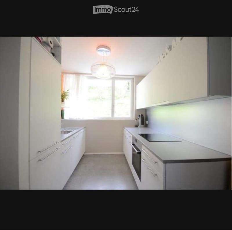 Appartement moderne en duplex (3)