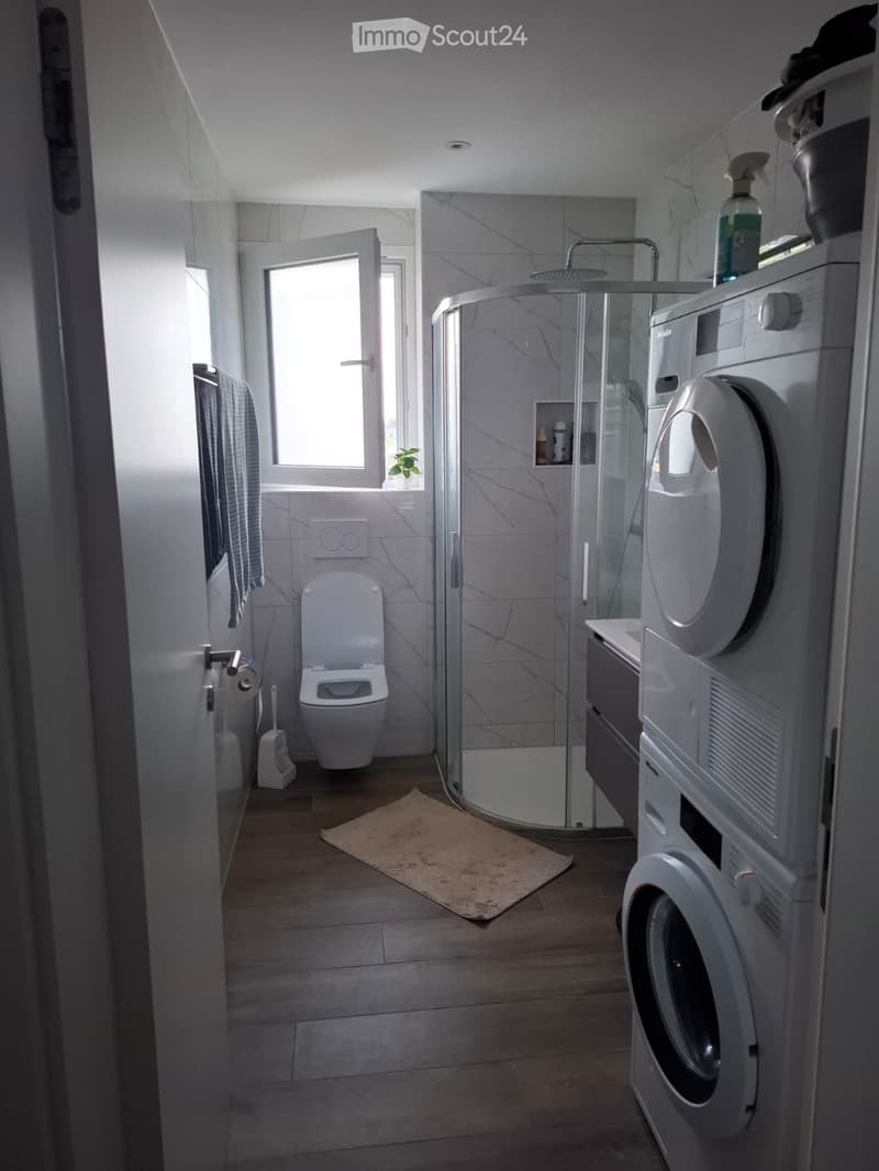 App. ultimo piano in affitto, attico 2,5 locali (4)