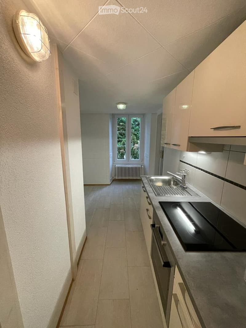 2.5 room apartment (3)