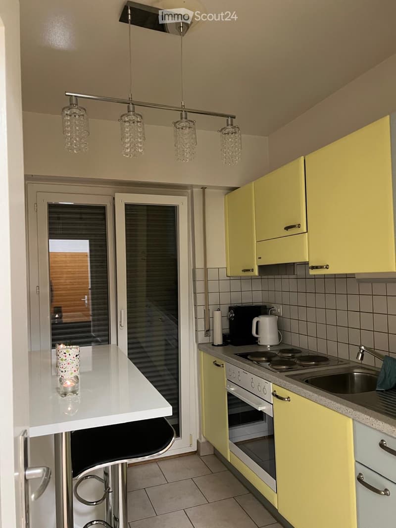 Beautiful 2.5-room apartment with balcony (3)