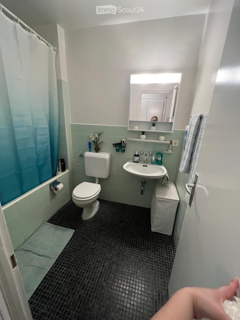 Beautiful 2.5-room apartment with balcony (4)