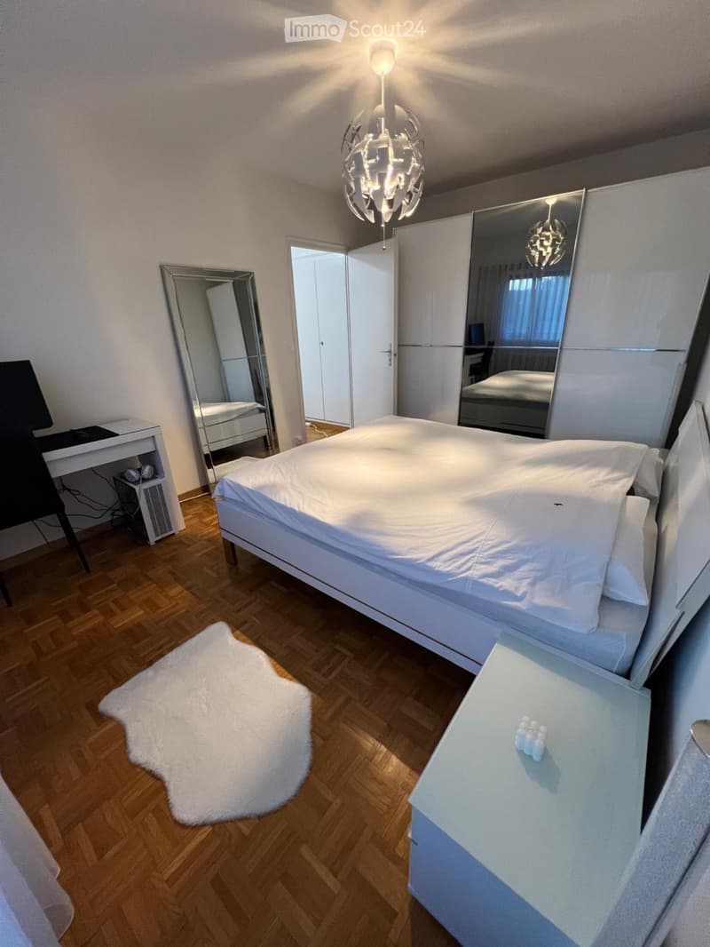Beautiful 2.5-room apartment with balcony (2)