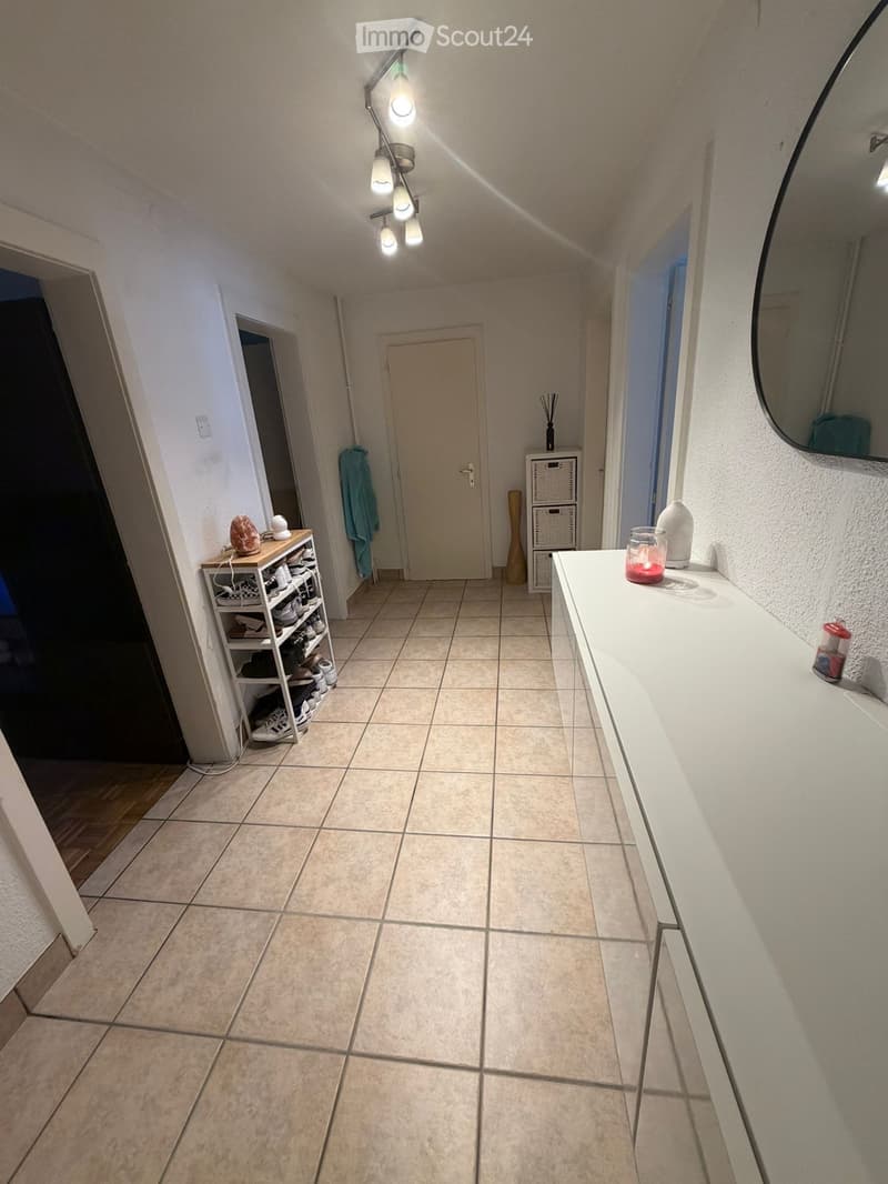 Wohnung 3,5 Zimmer (5)