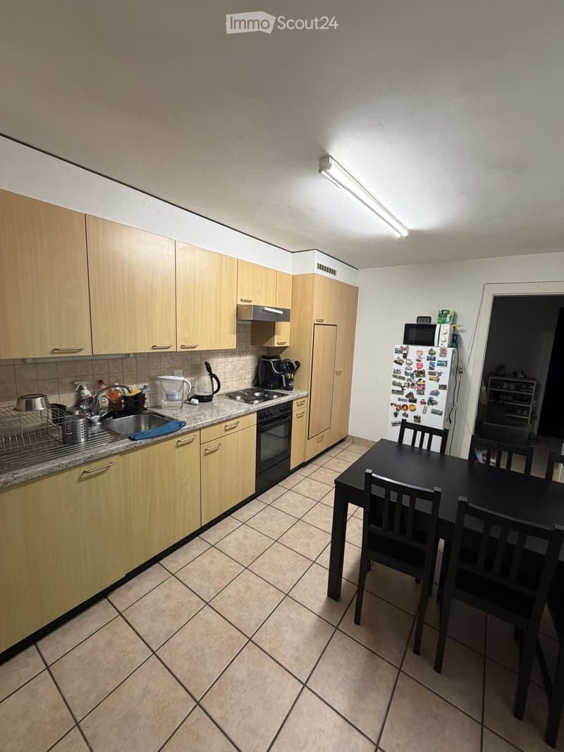 Wohnung 3,5 Zimmer (4)