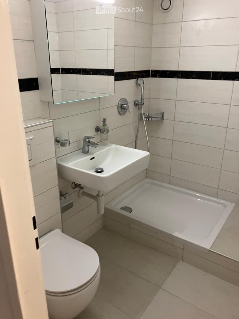 Wohnung mit 2 Zimmern renoviert im Stadtzentrum von Freiburg (2)