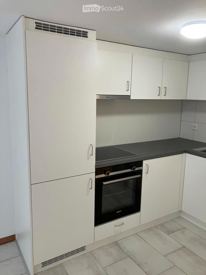 Wohnung mit 2 Zimmern renoviert im Stadtzentrum von Freiburg (4)
