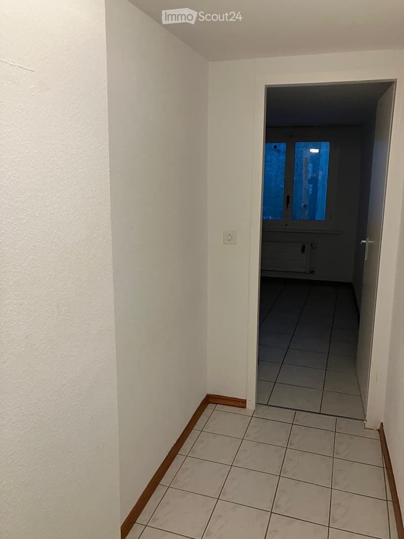 Wohnung mit 2 Zimmern renoviert im Stadtzentrum von Freiburg (3)