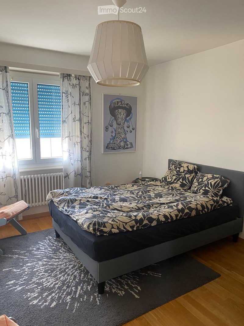Appartamento in affitto (5)
