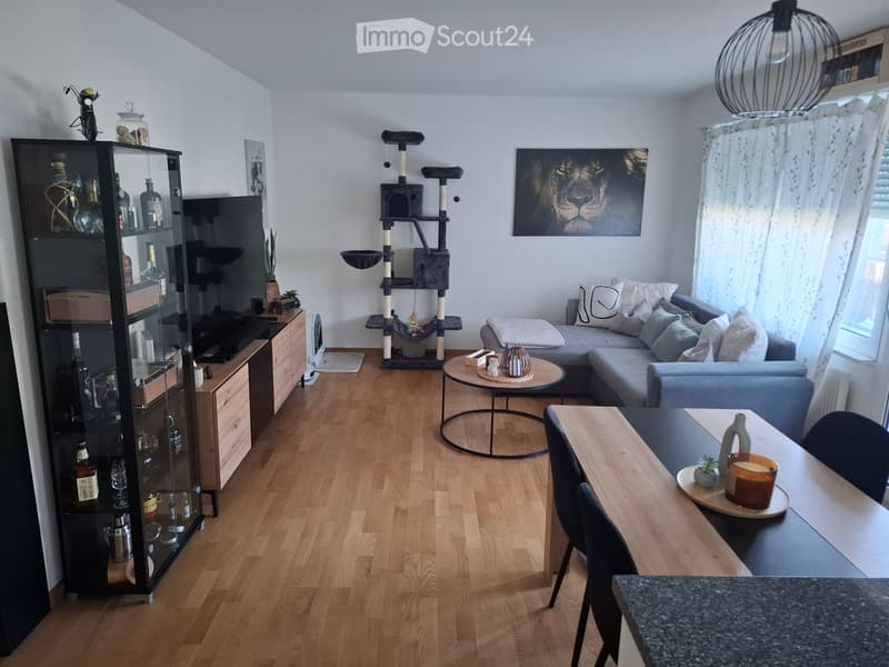 Appartamento 2 camere cerca subaffittuario a partire dal 1.8.2026 (4)