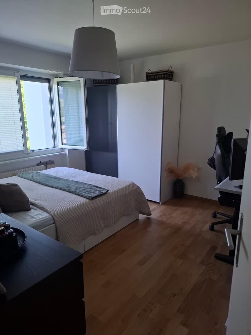 Appartamento 2 camere cerca subaffittuario a partire dal 1.8.2026 (5)