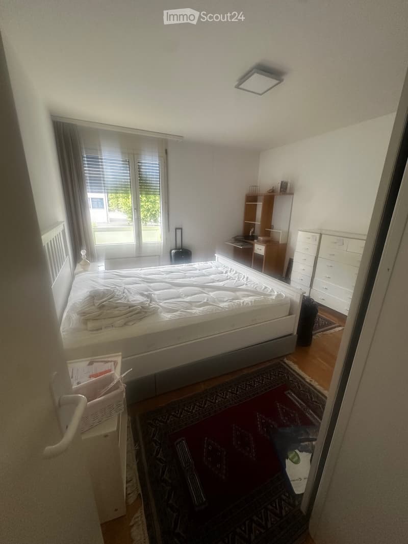 Ampio appartamento di 3.5 locali con balcone e parcheggi (2)