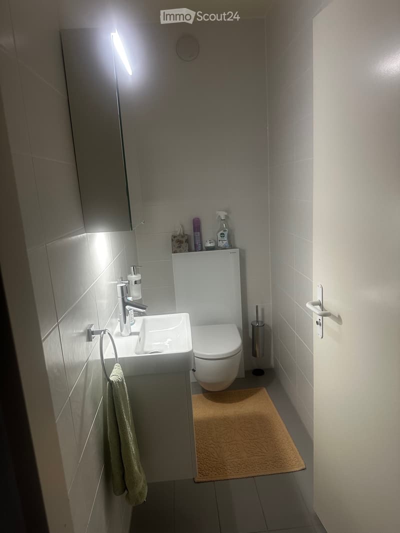 Ampio appartamento di 3.5 locali con balcone e parcheggi (4)