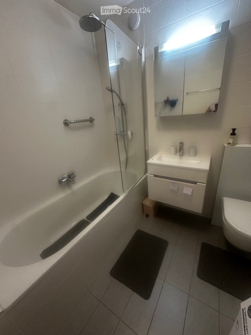 Ampio appartamento di 3.5 locali con balcone e parcheggi (3)