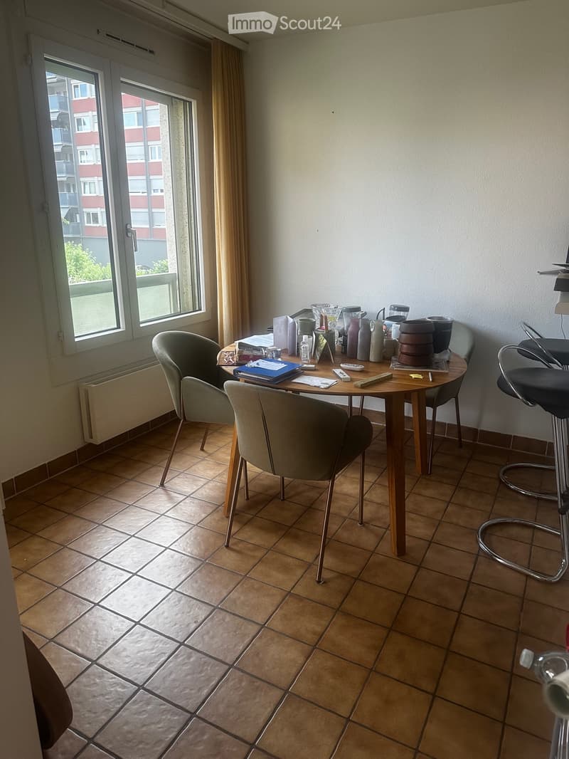 Ampio appartamento di 3.5 locali con balcone e parcheggi (5)