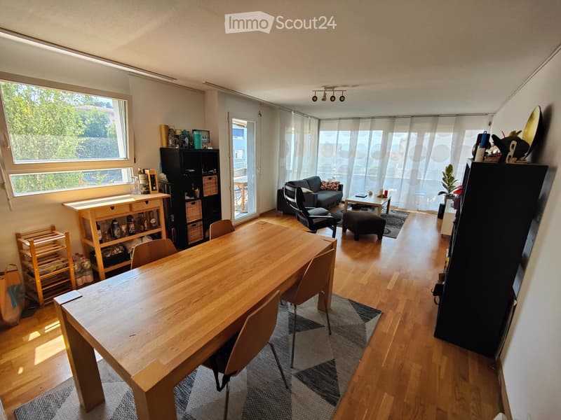 Traduzione: Cerco Coinquillino per Appartamento Arredato (2)