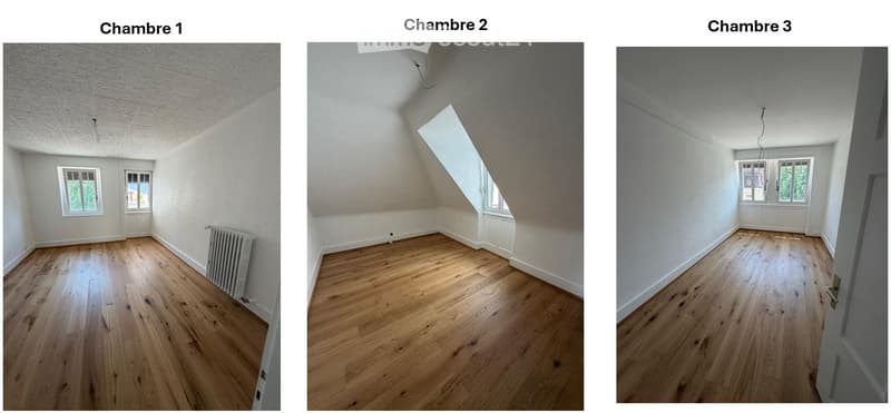 Vollständig renoviertes und helles Apartment im Herzen von Sierre (3)