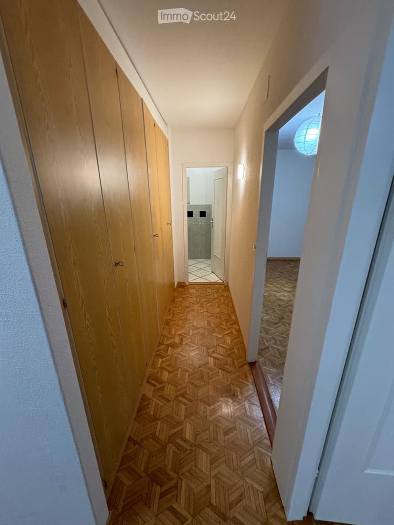 Duplex de 5,5 pièces à La Croix-de-Rozon (7)