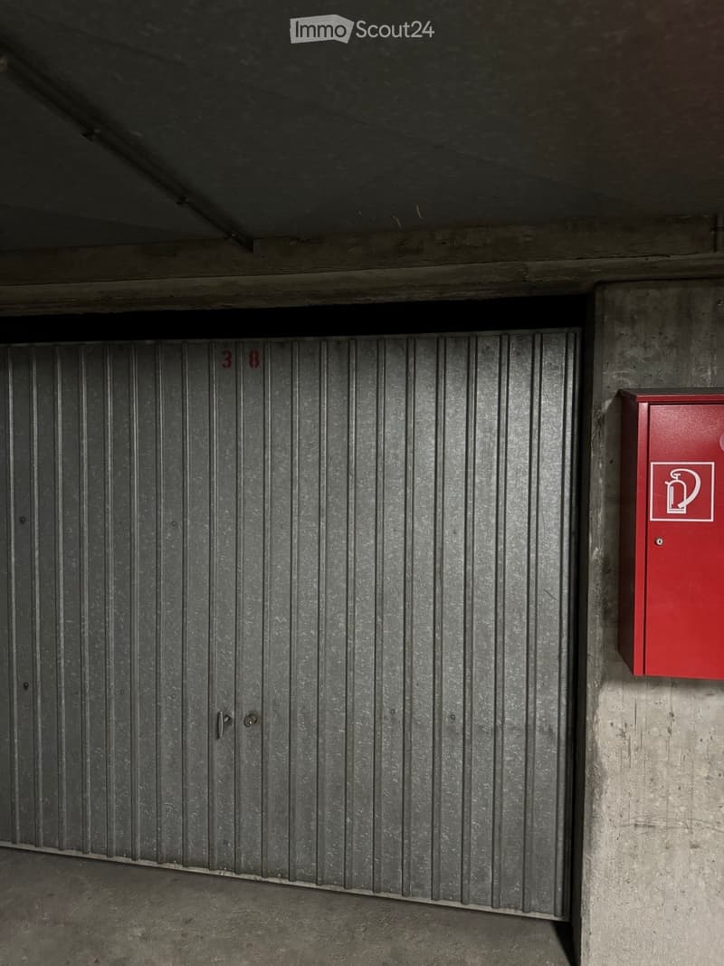 Duplex de 5,5 pièces à La Croix-de-Rozon (10)