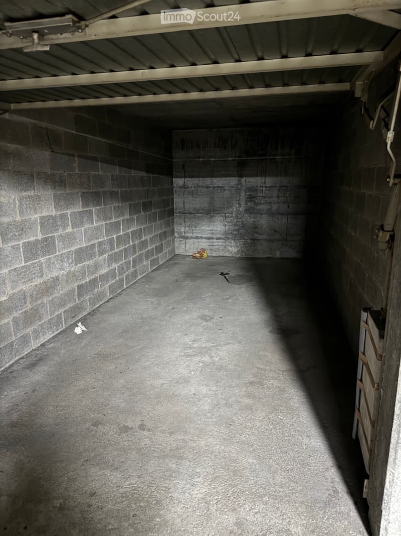 Duplex de 5,5 pièces à La Croix-de-Rozon (9)