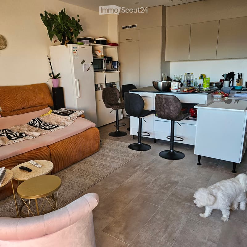 Appartement 2,5 pces Rez-de-jardin (5)