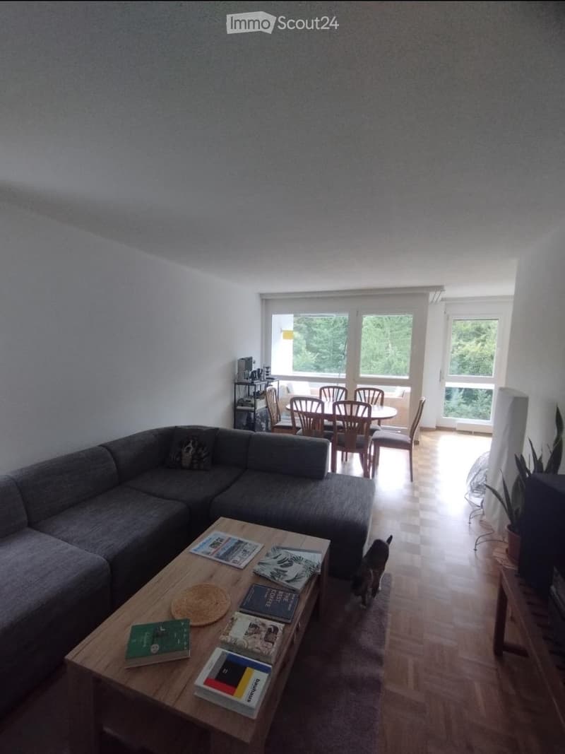 Zimmer verfügbar in Bern vom 1. Juli bis 31. August (4)