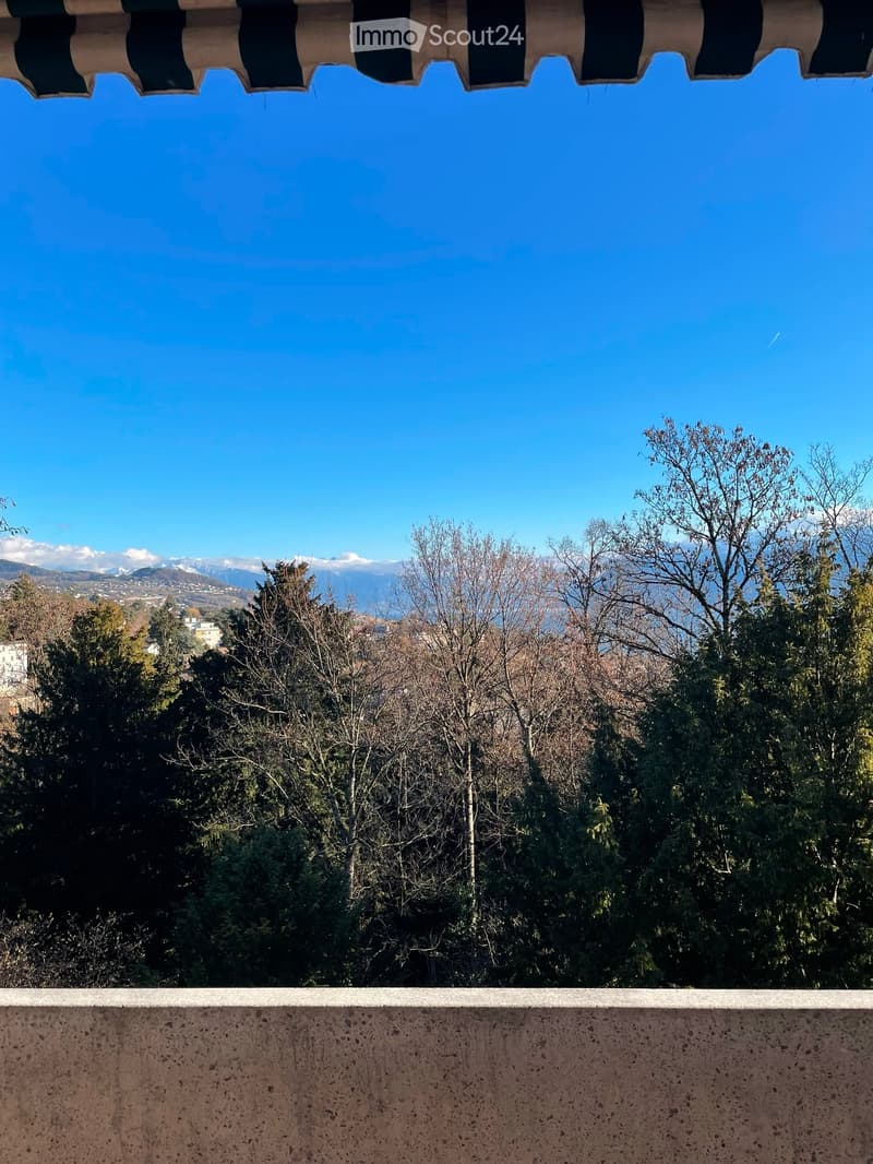 Appartamento di 3,5 locali da ristrutturare - Quartiere di Béthusy (3)