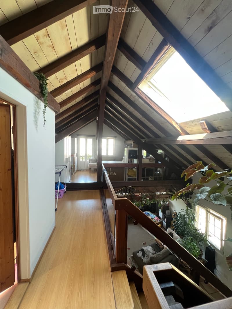Duplex 5 pezzi (11)