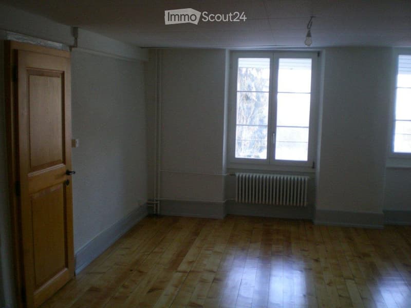 Accogliente appartamento 3 1/2 locali di 85 m2 in zona tranquilla/3° piano (4)