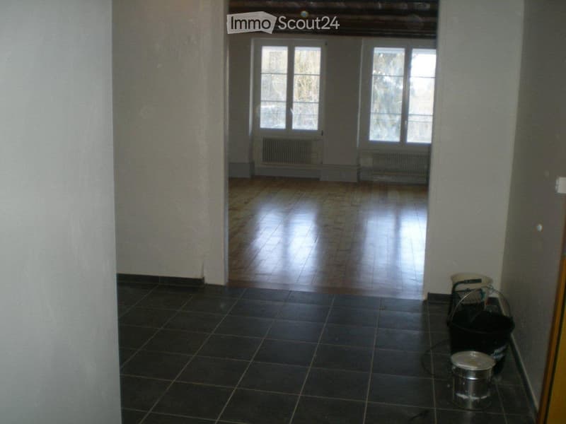 Accogliente appartamento 3 1/2 locali di 85 m2 in zona tranquilla/3° piano (5)