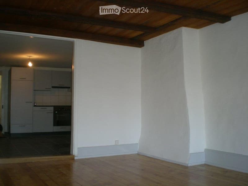 Accogliente appartamento 3 1/2 locali di 85 m2 in zona tranquilla/3° piano (2)