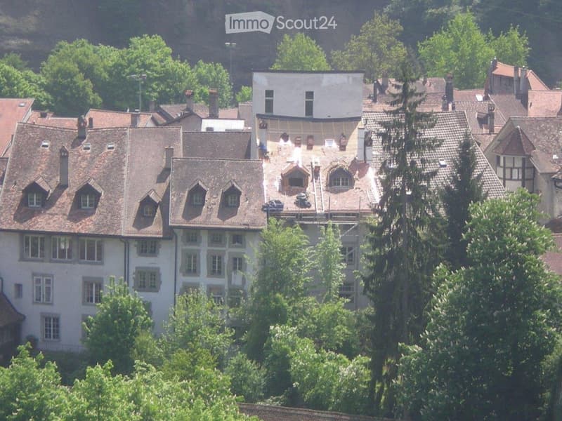 Accogliente appartamento 3 1/2 locali di 85 m2 in zona tranquilla/3° piano (10)