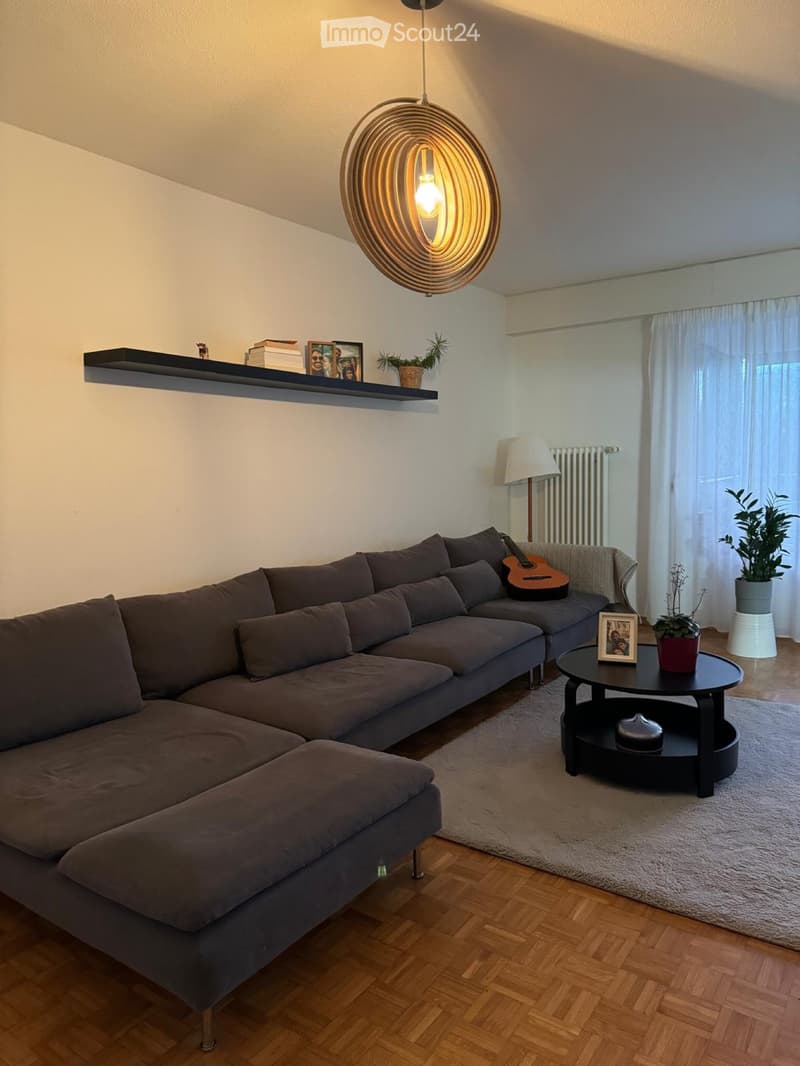 Joli appartement de 3,5 pièces (2)