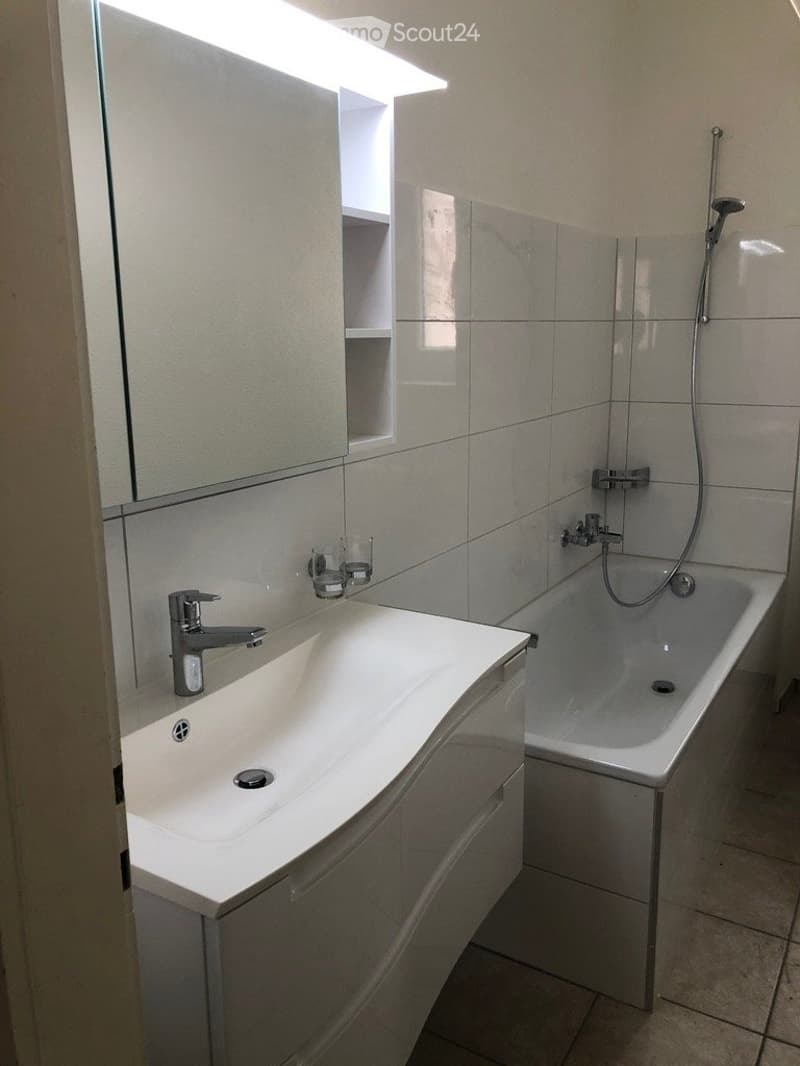 Bello appartamento di 3 locali, ristrutturato (2)
