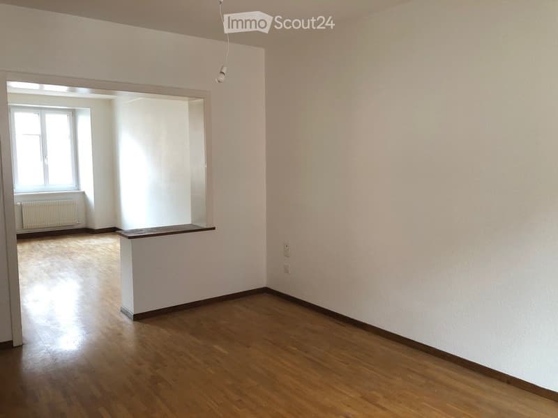 Bello appartamento di 3 locali, ristrutturato (3)