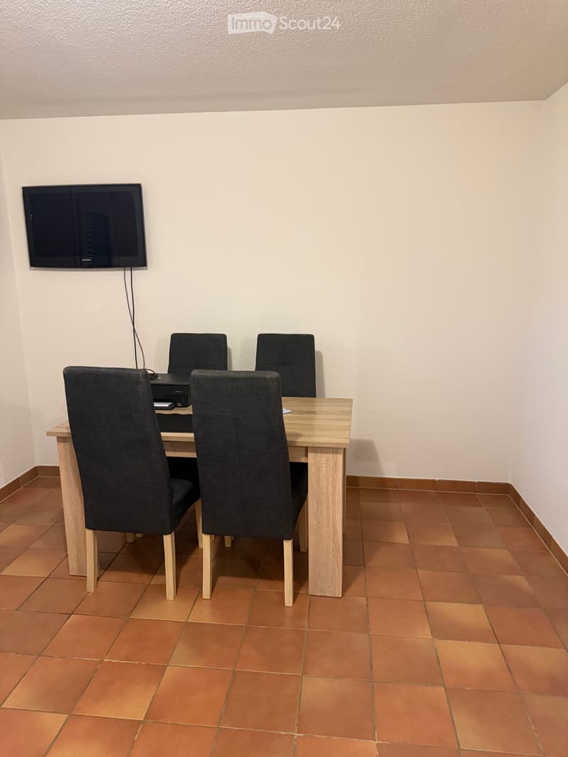 Monolocale arredato (4)
