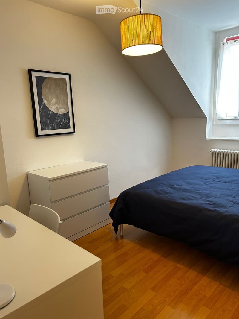 Furnished sublet in the heart of Lausanne (3)