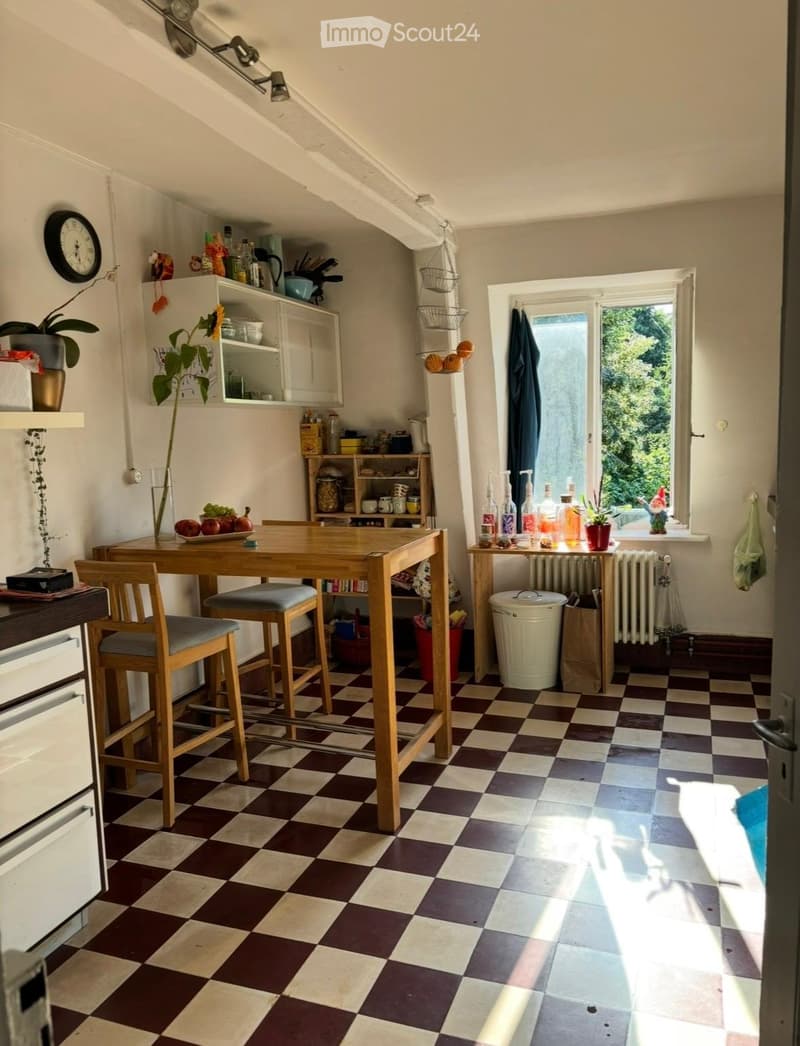 Charmant appartement de 4,5 pièces à louer (2)