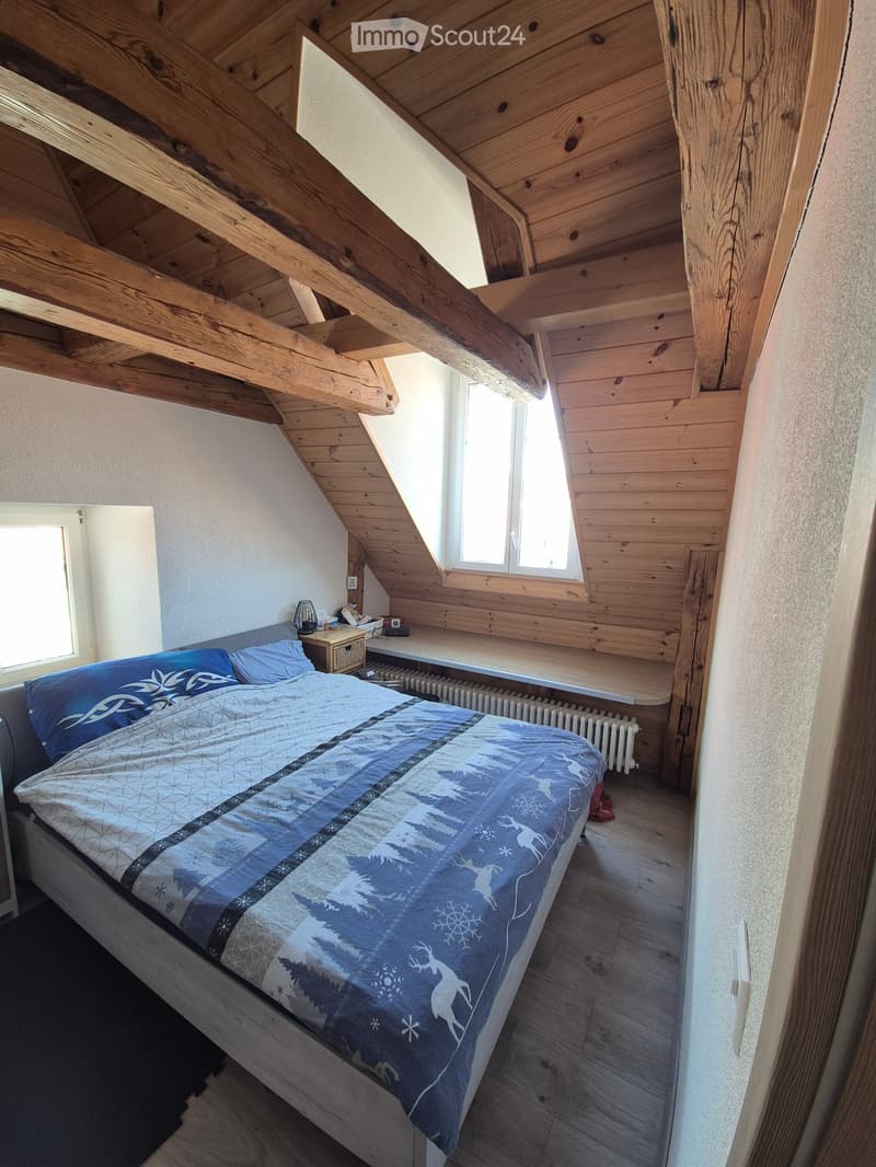Appartement charmant au centre-ville (5)