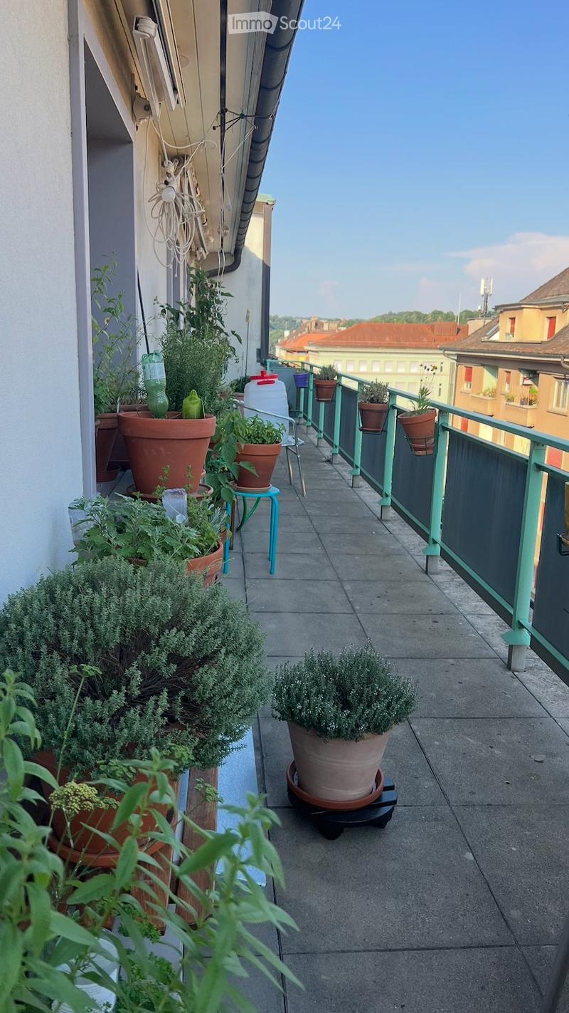 Grande camera in bellissima condivisione - Terrazza verde (5)
