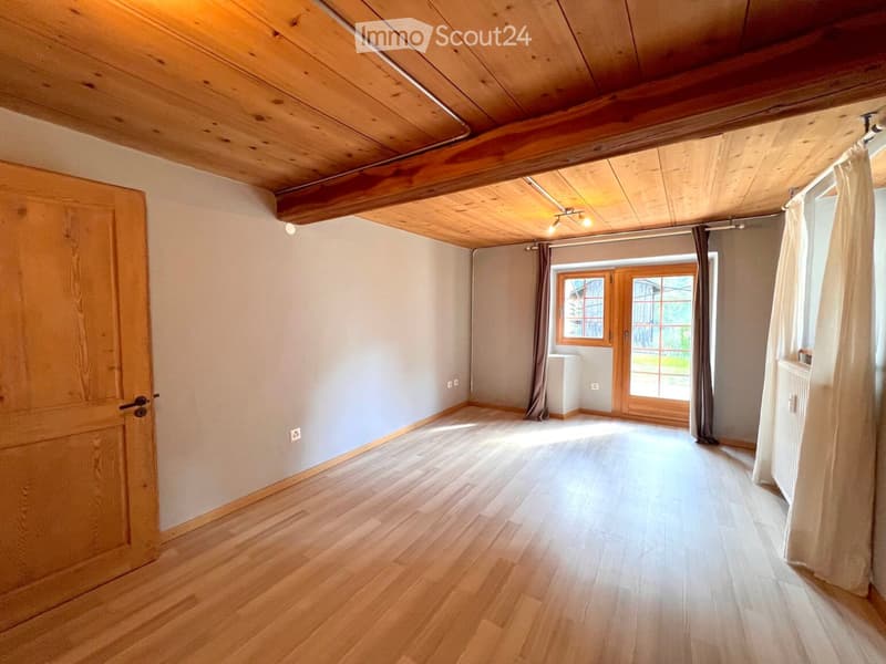 APARTMENT 2.5 ROOMS WITH TERRACE (2)