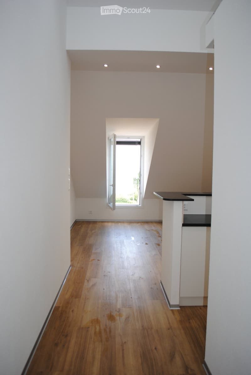 Magnifique appartement avec vue sur le lac et les Alpes (5)