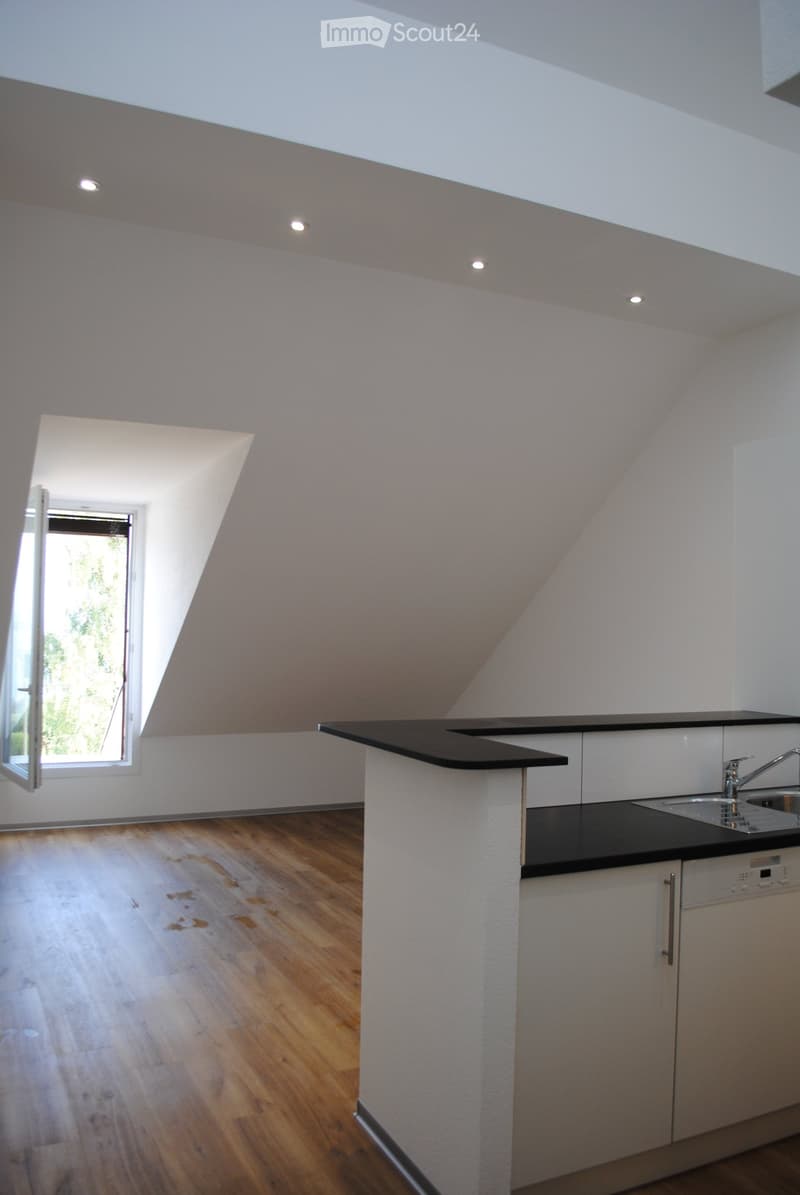 Magnifique appartement avec vue sur le lac et les Alpes (2)