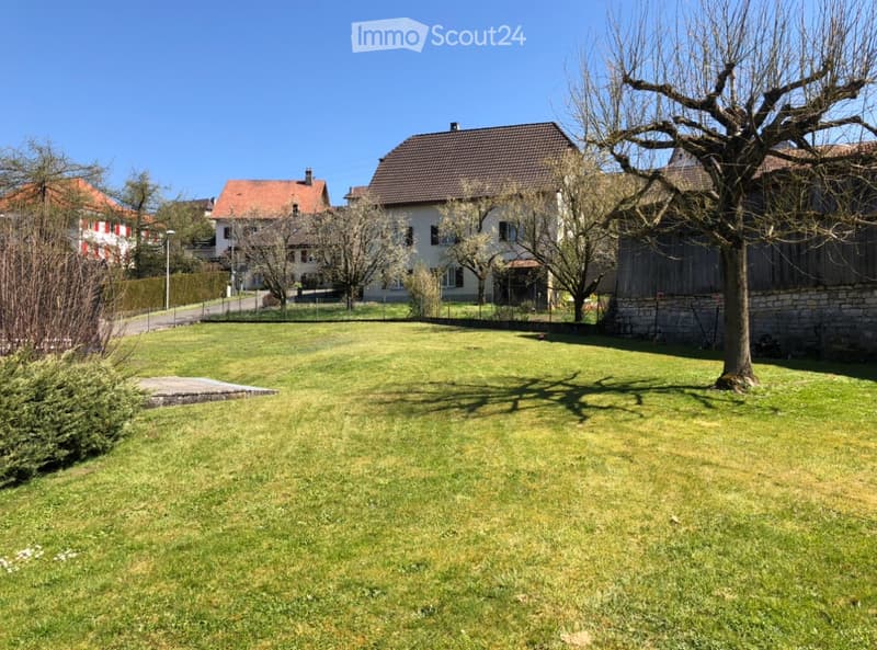 Joli appartement de 4,5 pièce entièrement rénové (2)