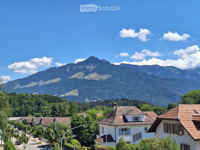 3.5 room apartment with exceptional view in the center (3)