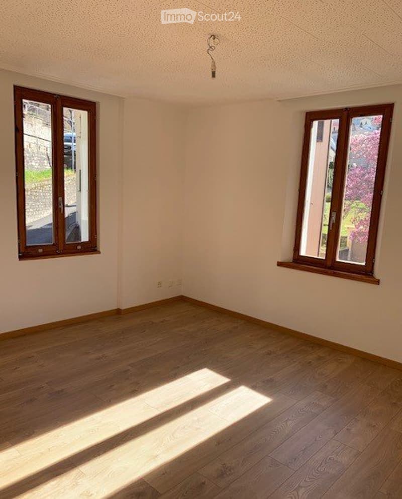 House with 3 apartments in Bellinzona-Daro, unique location (4)