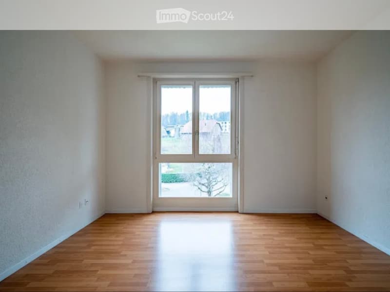 Beautiful 4.5-room apartment for rent (3)