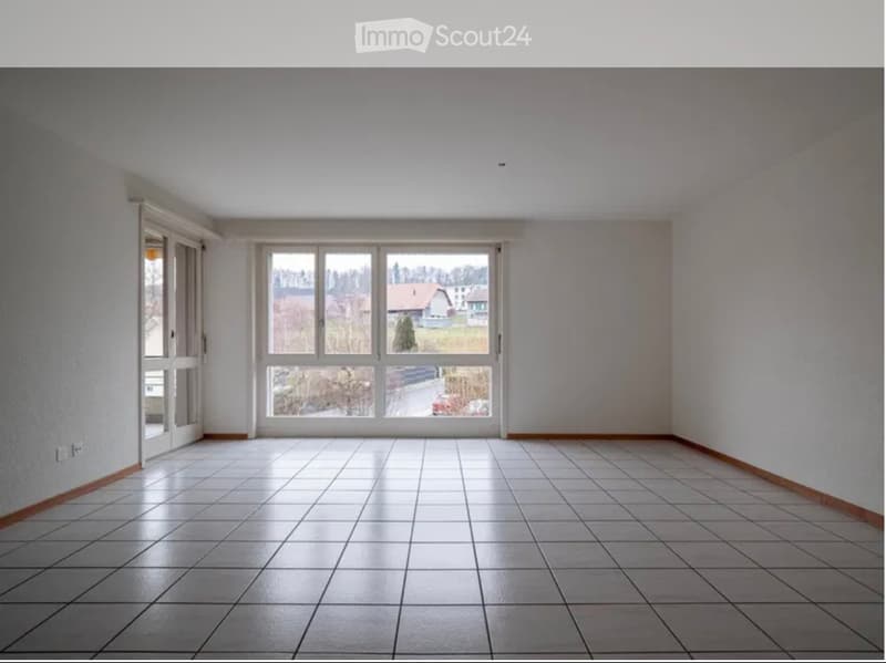 Beautiful 4.5-room apartment for rent (4)